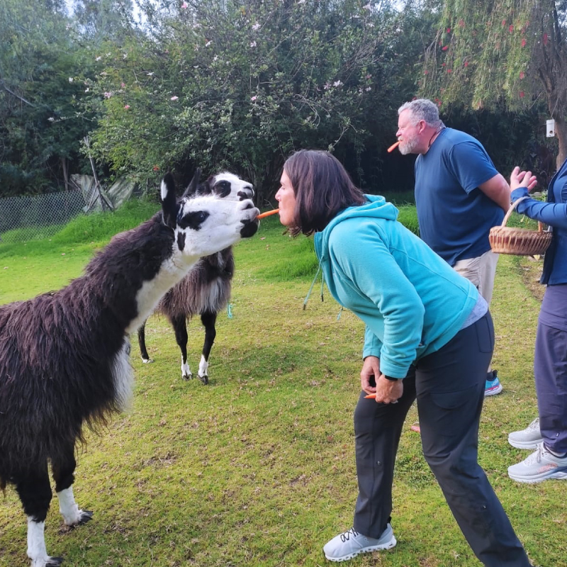 Hotels Near Quito International Airport