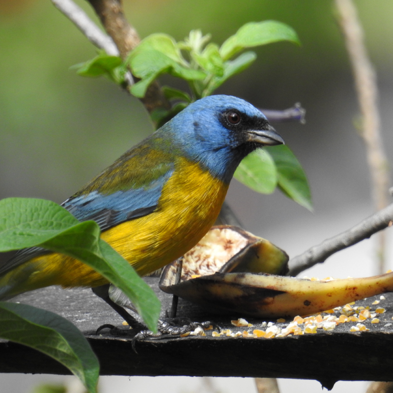 Hotels Near Quito International Airport